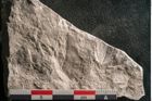 Foto (Detailansicht) von Trigonocarpus sp.  (NHMW-GEO-2024-0188-11153)